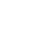 Icons8-x-100